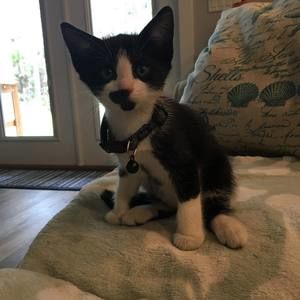 Meet your Posher, Charlotte